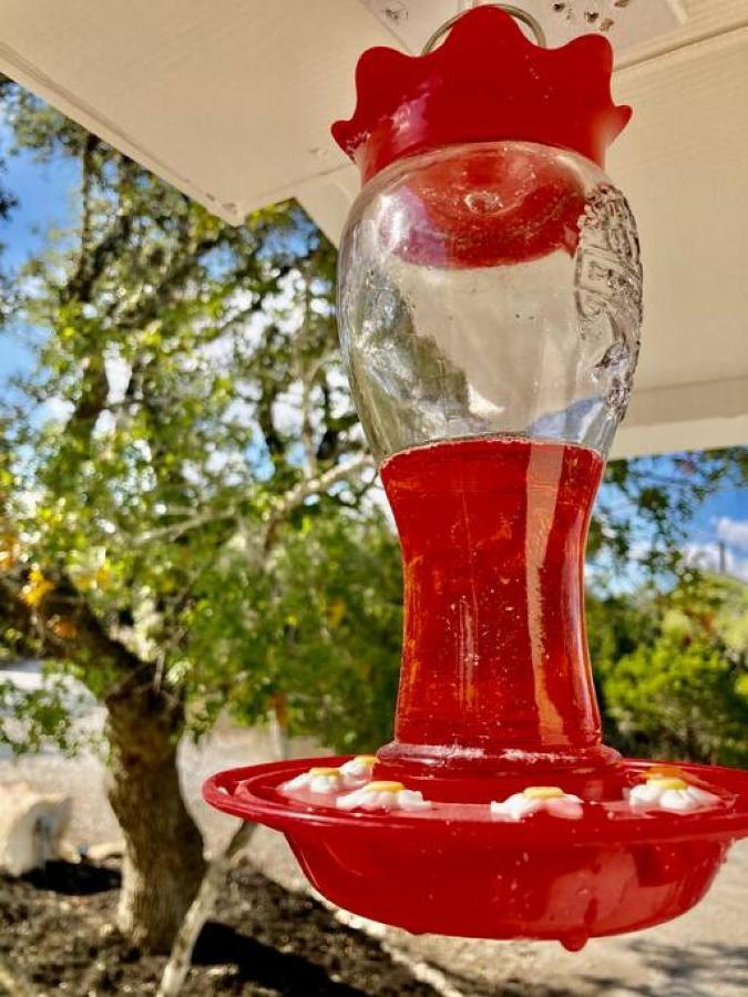Vila Hummingbird Haus - Hill Country Views On 20 Acres With Firepit Spring Branch Exteriér fotografie